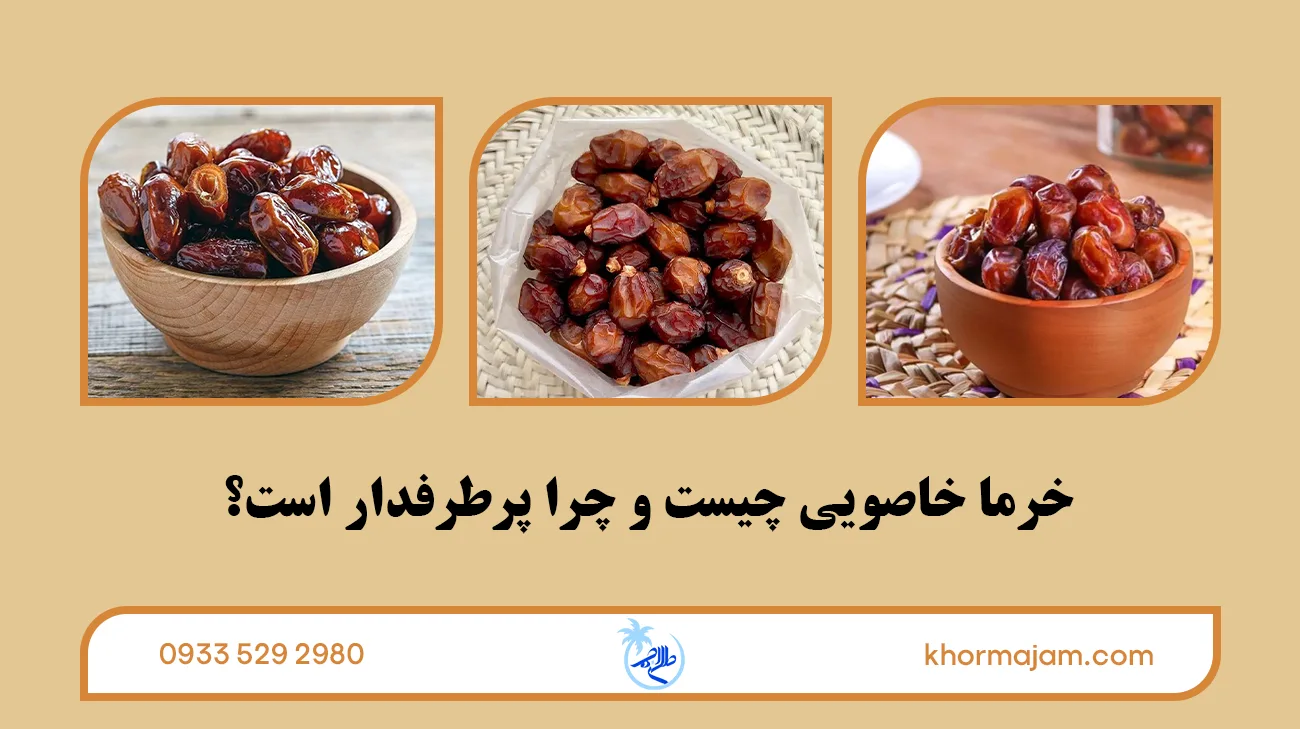 خرما خاصویی چیست و چرا پرطرفدار است؟